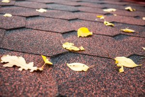 Roof Repairs in Autumn