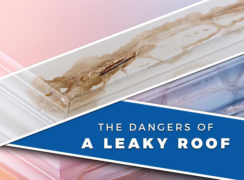 The Dangers of a Leaky Roof
