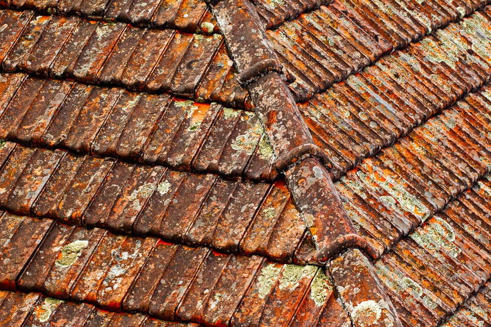 granular retention roof shingles
