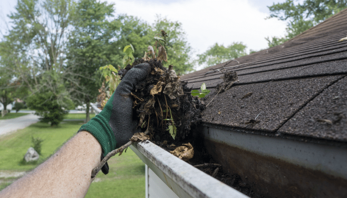 Top Tips for Roof Maintenance in Spring