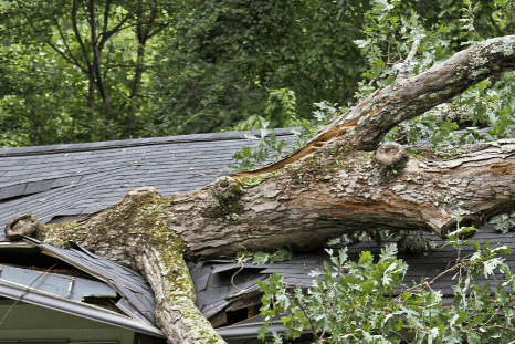 How Do I File An Insurance Claim For A Roofing Repair?