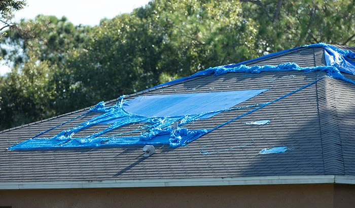 3 Easy Ways To Protect Your Roof From Wind Damage in Utah