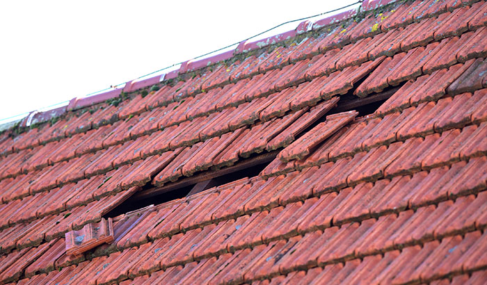 Wind Damage Roof: Should You Repair on Your Own?