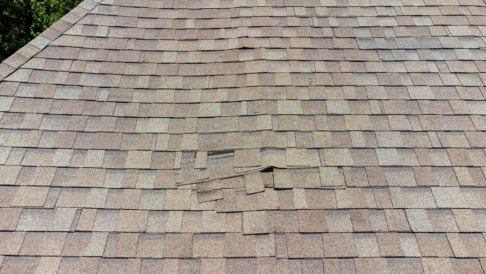 identify missing shingles roof