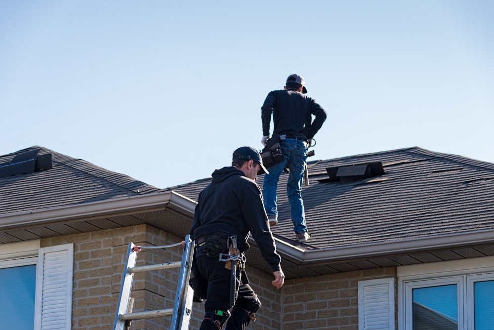 roof inspection importance basics