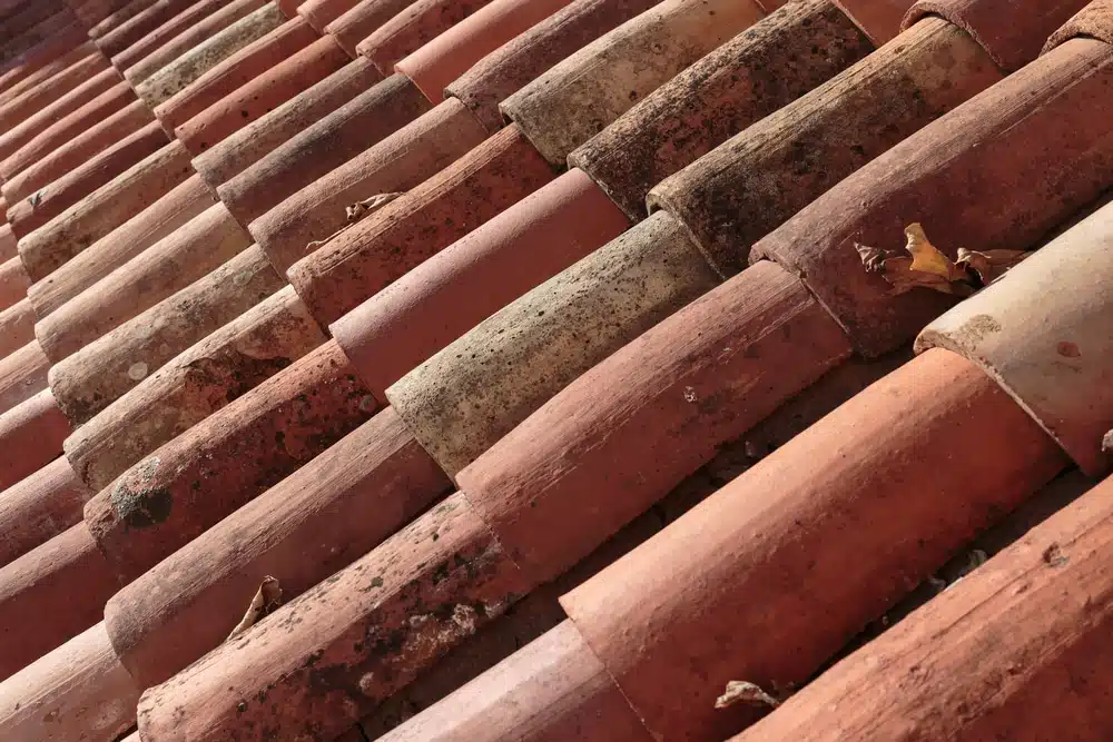 roof water stain colors
