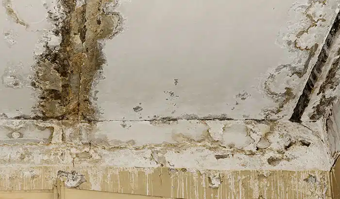 3-Major-Consequences-of-a-Leaking-Roof