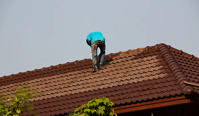 Top 5 Flat Roof Maintenance Tips